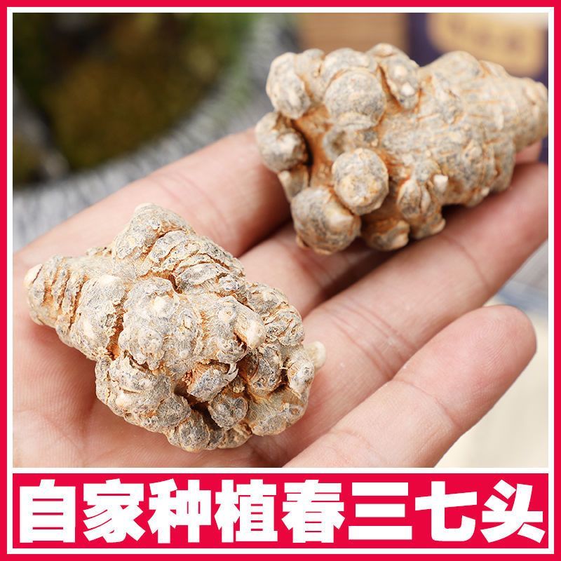 三七头云南文山三七根茎正品无剪口春田七20头30头滑头