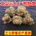 三七头云南文山三七根茎正品无剪口春田七20头30头滑头