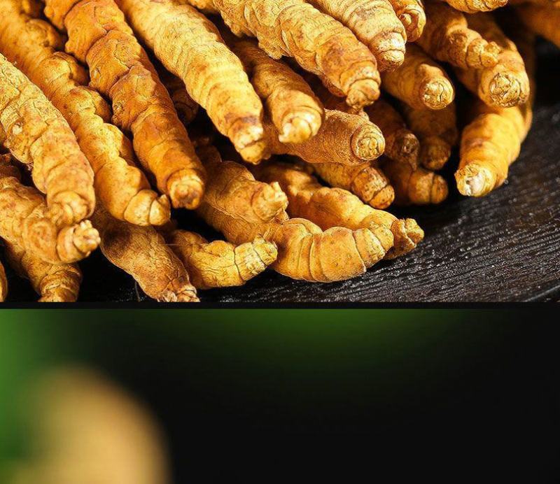 长期供应超高性价比的虫草正宗纯正冬虫夏草品质值得信赖