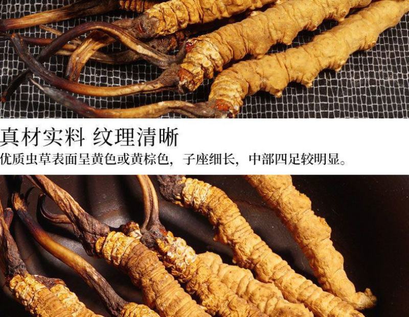 长期供应超高性价比的虫草正宗纯正冬虫夏草品质值得信赖