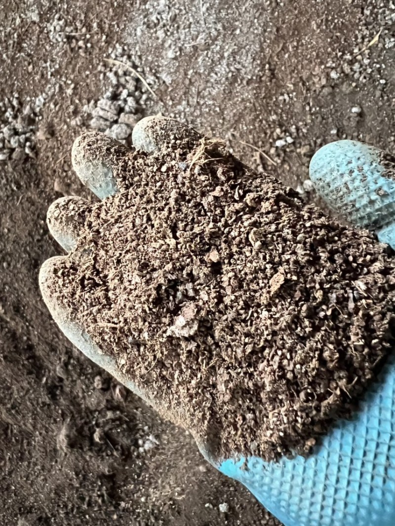 发酵鸡粪厂家大量批发种植大姜红薯土豆底肥发酵纯鸡粪有机肥