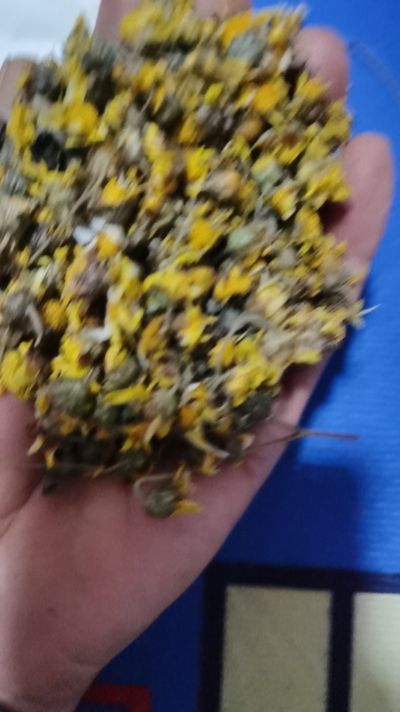 野菊花
