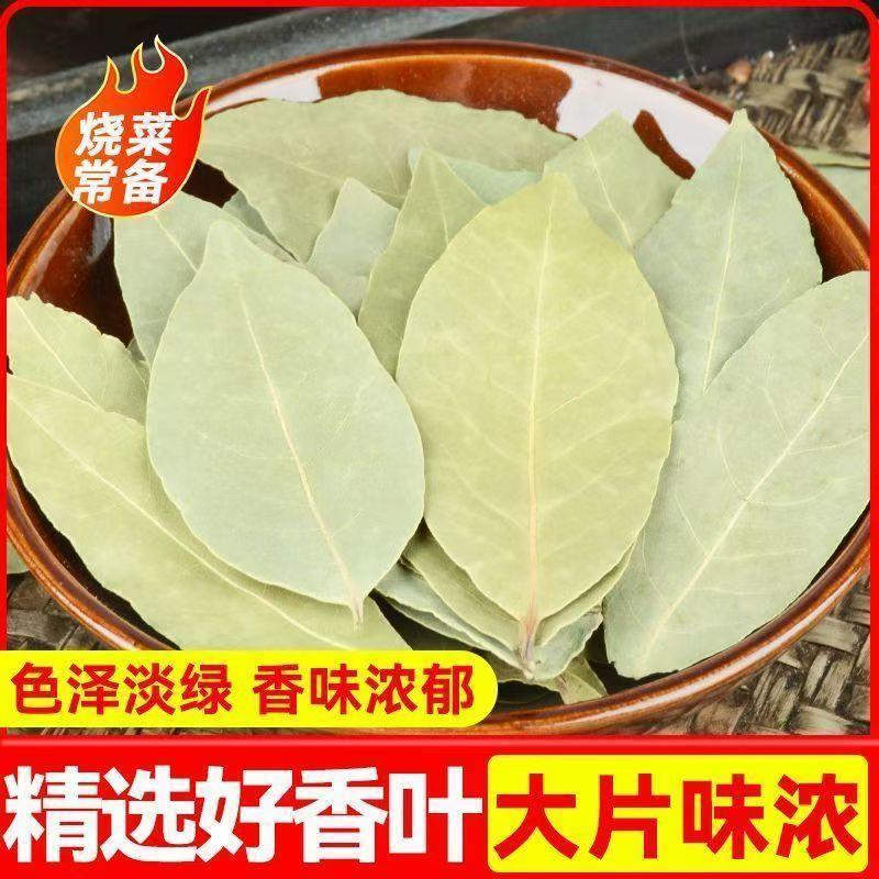 【只卖头茬香叶】广西新货香叶无硫香叶特产级香料商用家用批发价