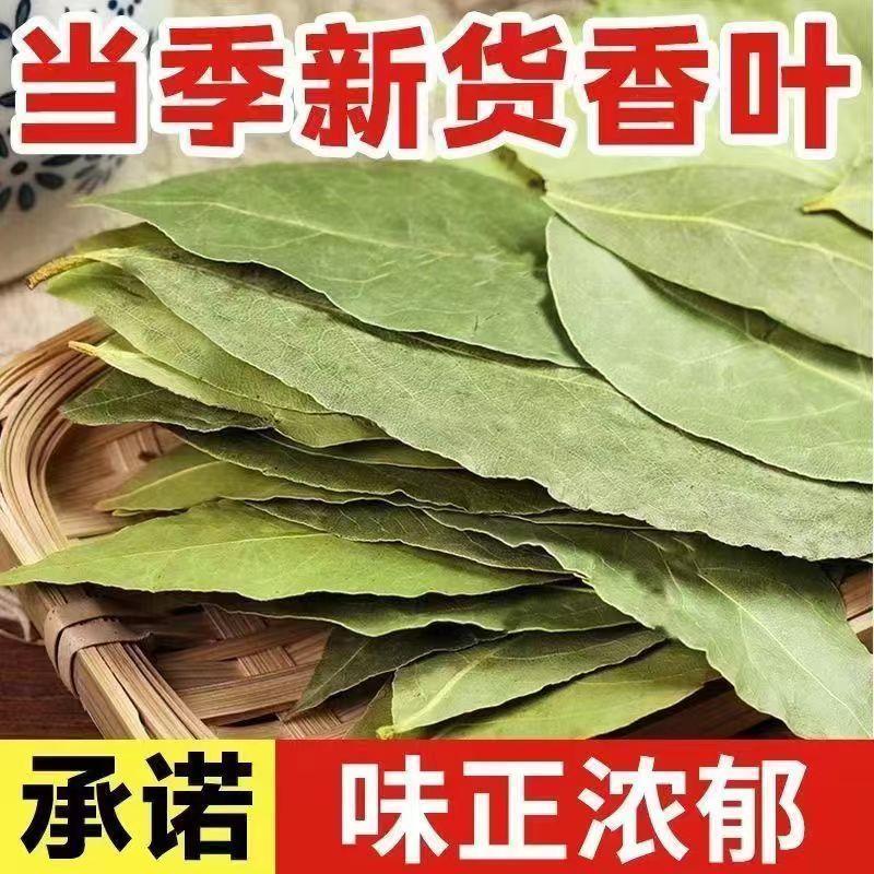 【只卖头茬香叶】广西新货香叶无硫香叶特产级香料商用家用批发价