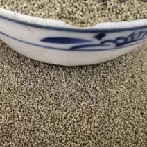黑小米原粮未加工