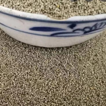 黑小米原粮未加工