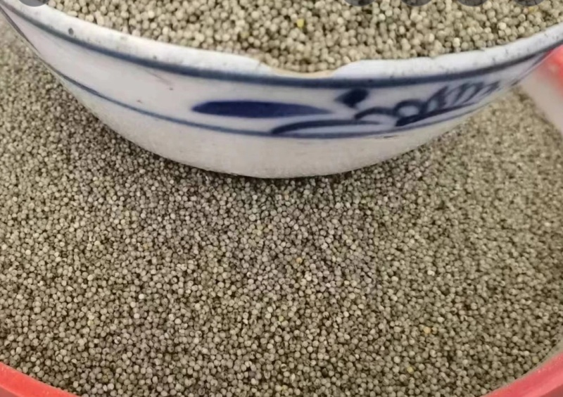 黑小米原粮未加工