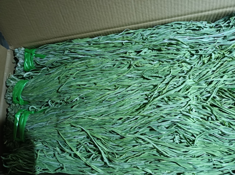 云南四级贡菜，食品厂，电商，酱菜工厂用货，可批发30公斤