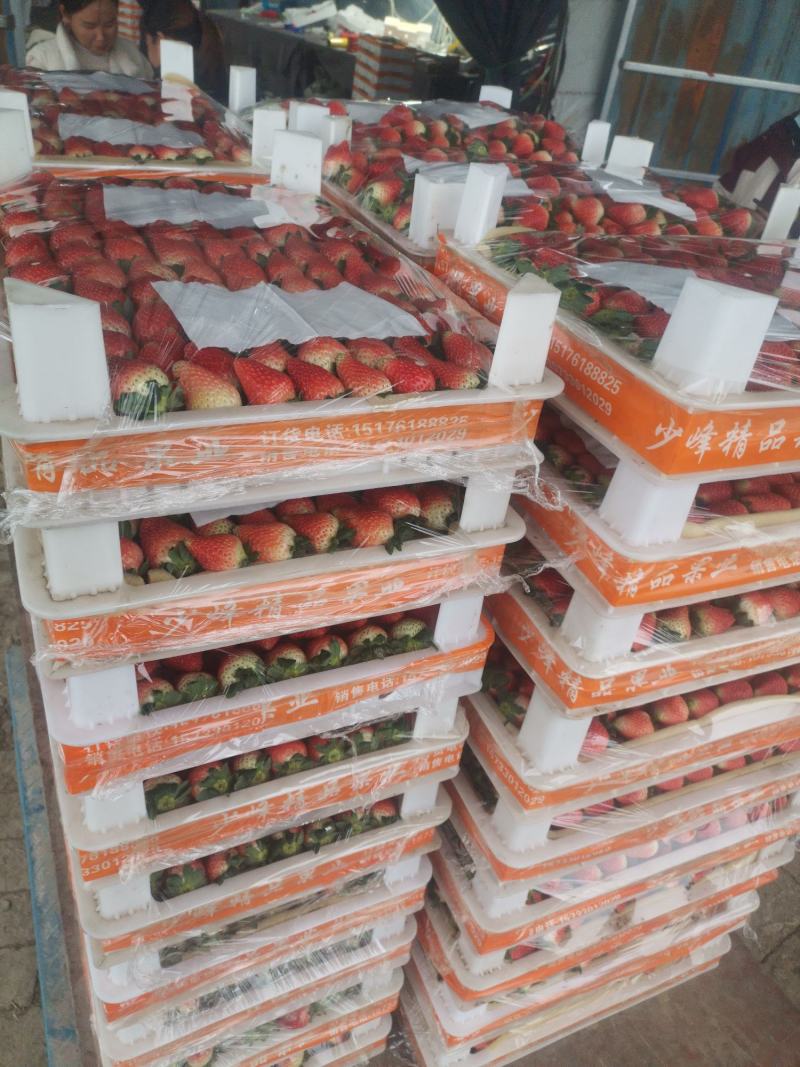 草莓奶油天仙醉价格美丽品质上乘支持视频看货欢迎来电