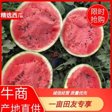 云南甜王西瓜，皮二西瓜，黄河蜜，产地直供，品质保证