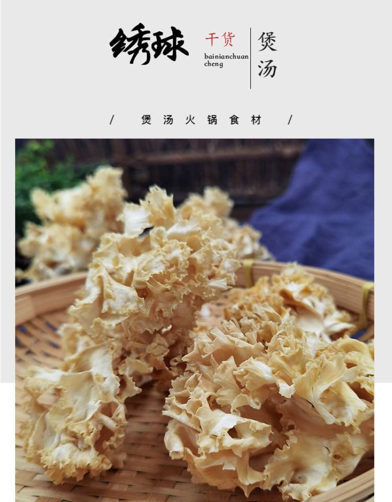 【闽蘑头】供应酒店食材食品厂加工原料可烫火锅干绣球菌新货