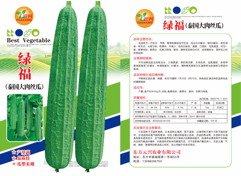 绿福大肉丝瓜种子，口感好，均匀一致，耐寒耐热，厂家直销