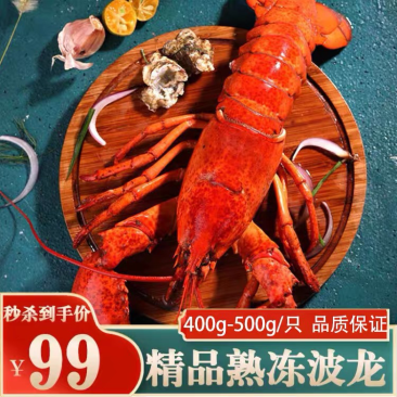 顺丰包邮熟冻波士顿龙虾鲜活捕捞大龙虾波龙中高端海鲜