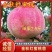 新品种桃树苗金秋红蜜桃特大桃子品种离核蜜桃苗