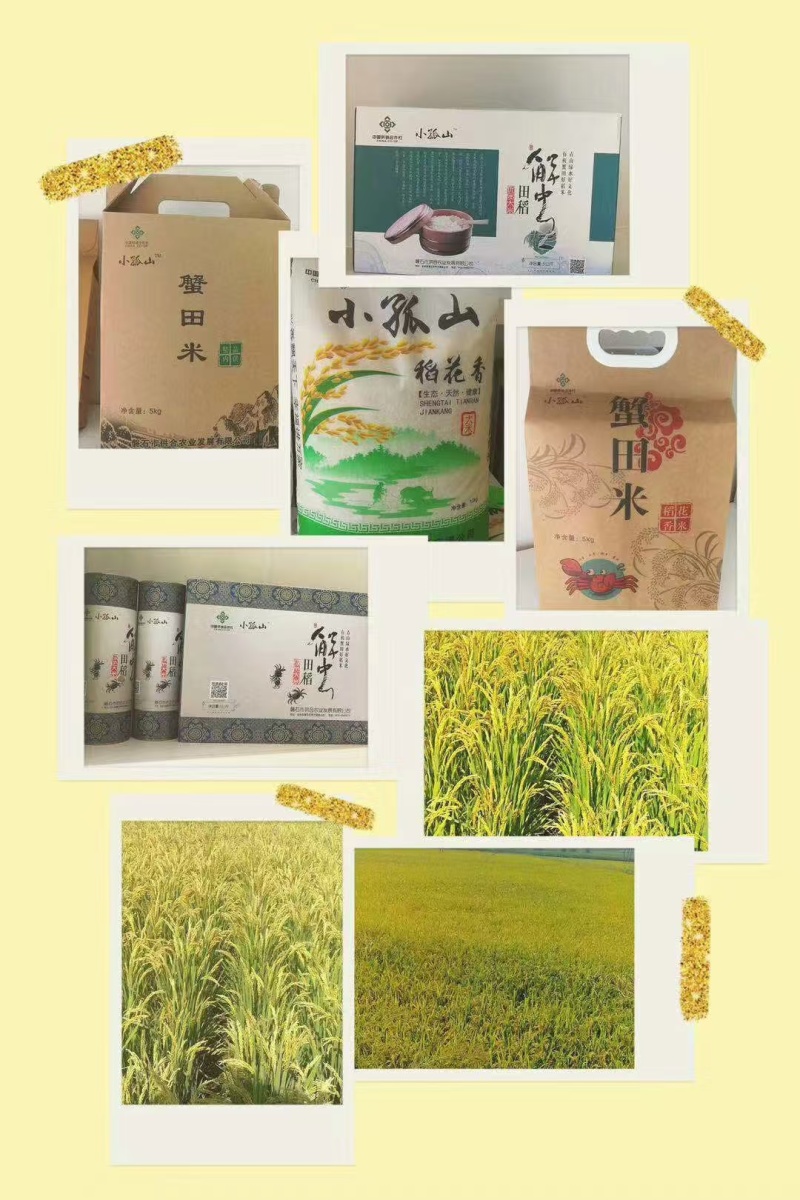 纯东北稻花香