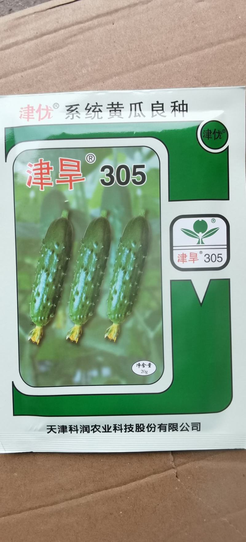 水果黄瓜种子津旱305全雌性翠绿色耐低温高产量抗病