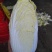 精品娃娃菜