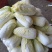 精品娃娃菜
