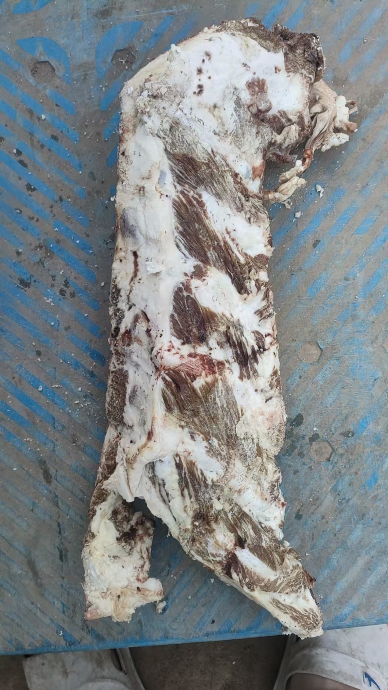 牛拍牛脊骨胸骨过期宠物