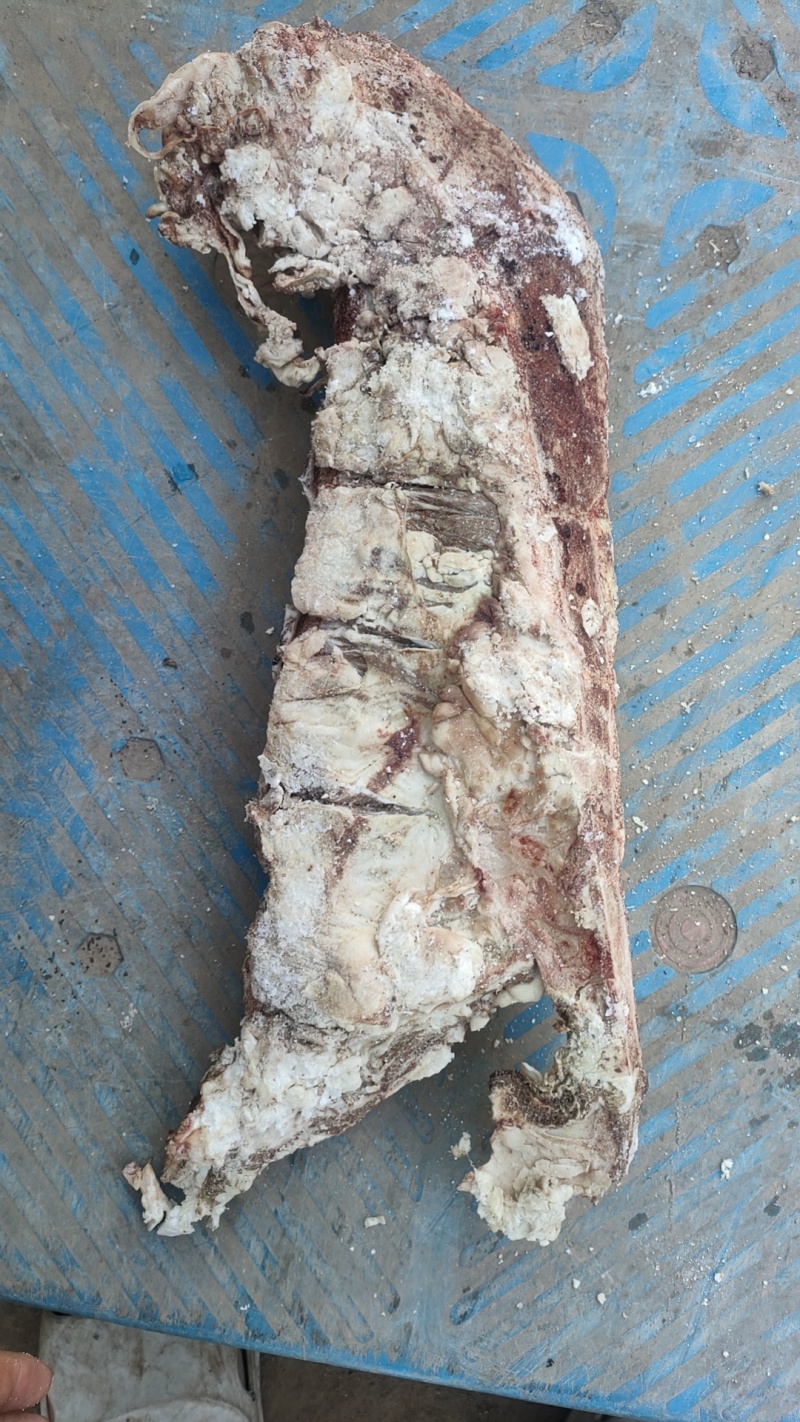 牛拍牛脊骨胸骨过期宠物
