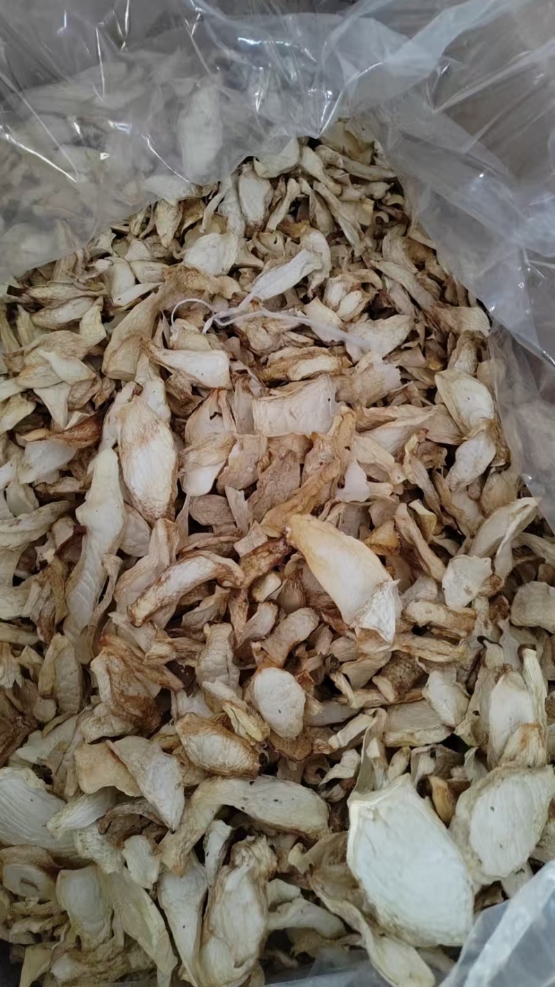 烘干杏鲍菇干精品次品都有