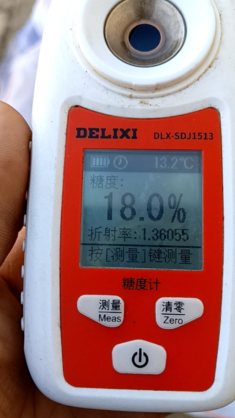河北饶阳阳光玫瑰葡萄货源充足量大从优欢迎联系