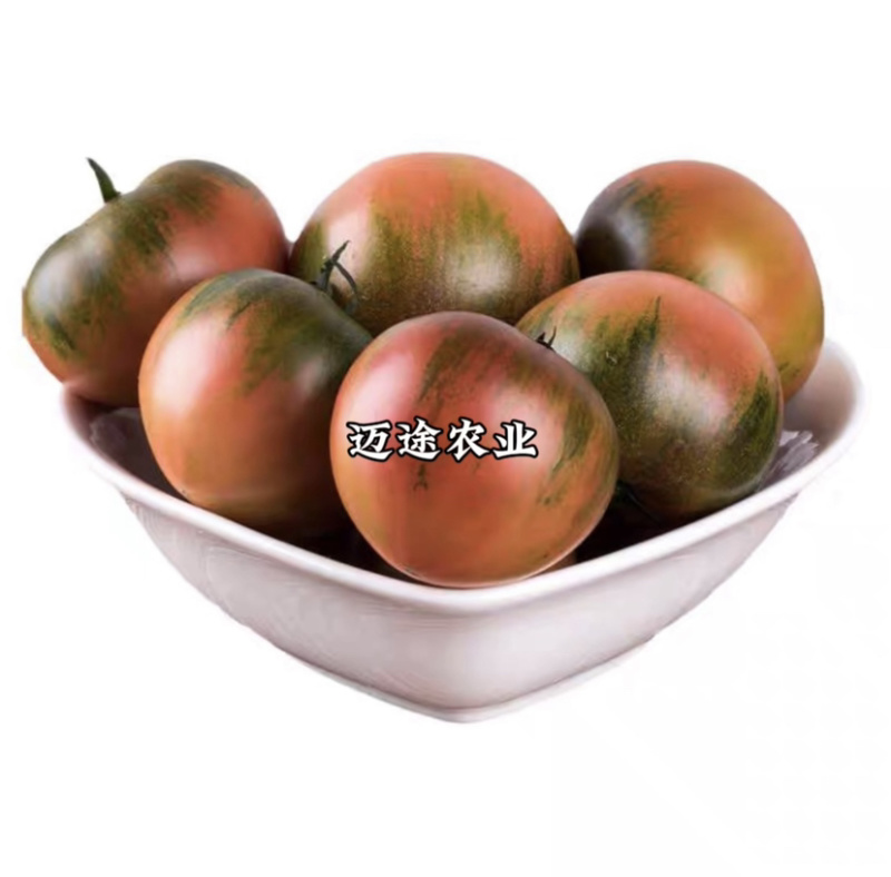 精品草莓番茄苗铁皮柿子口感番茄苗水果番茄