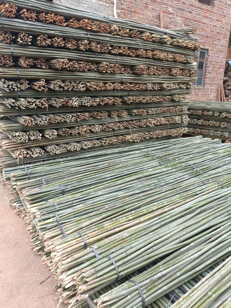 蔬菜竹杆菜架竹支撑杆豆角架黄瓜架冬瓜架西红柿架杆
