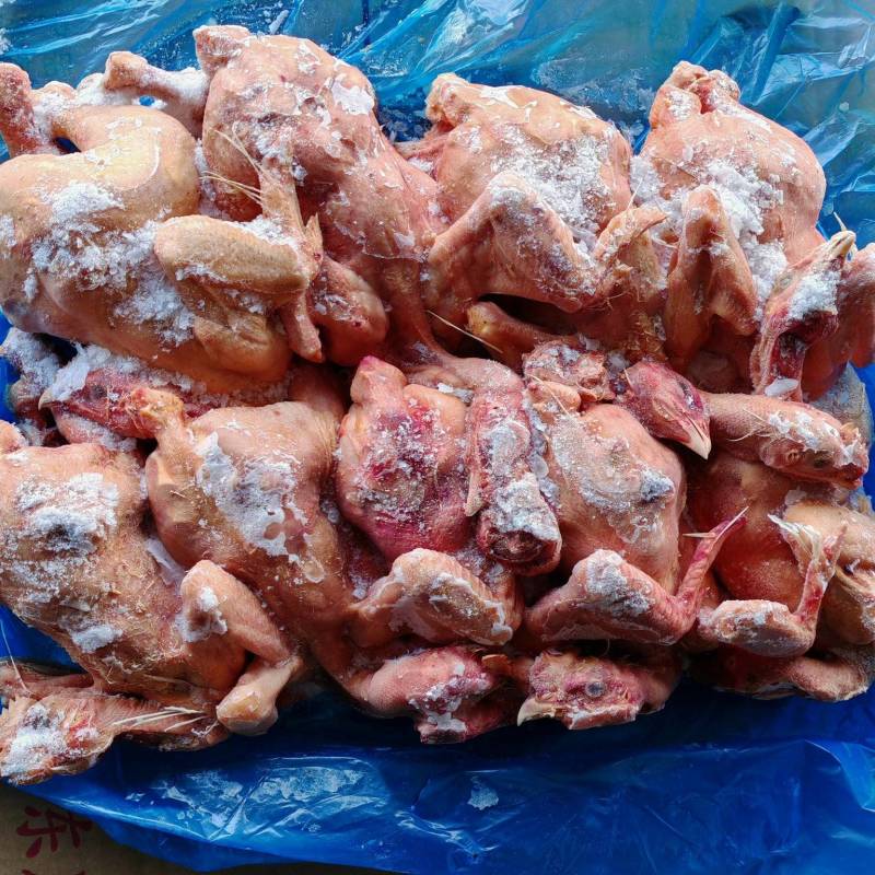 二级去爪肉食鸡7吨，6800一吨