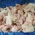 二级肉食鸡