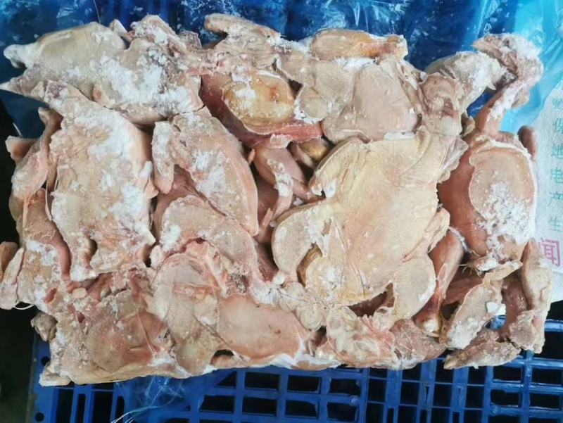 二级肉食鸡