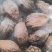 正宗云南草果草果颗粒草果个草果粉农家草果卤肉料炖肉