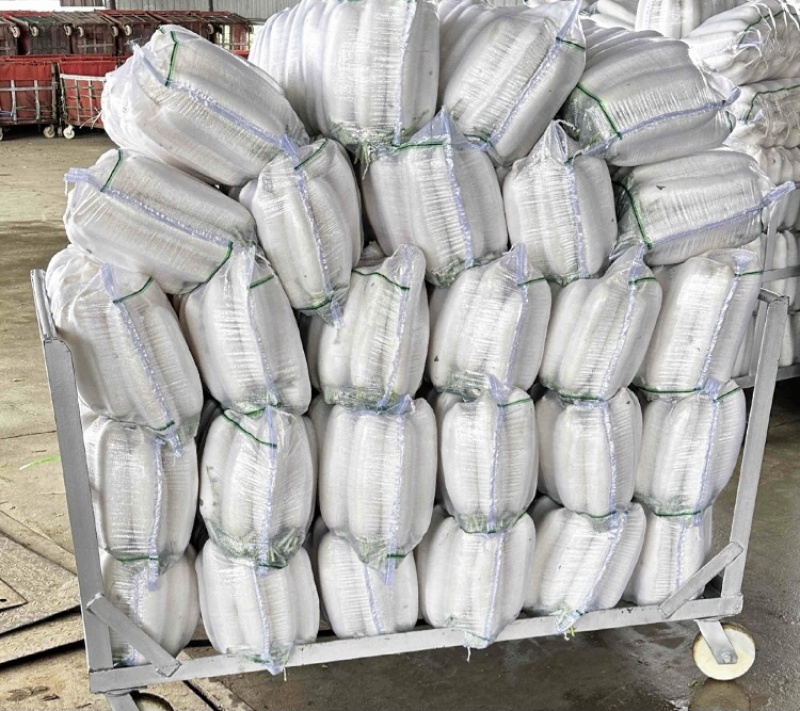 【推荐】湖北沙洋白萝卜量大价优产地直发品质保证