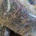 金线莲2024新货大量批发，精品无碎，一手货源，质量保证