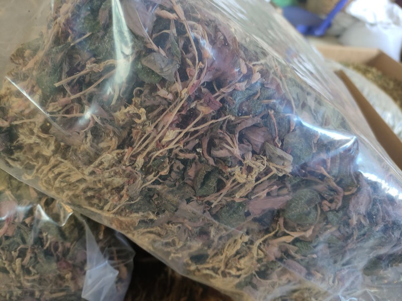 金线莲2024新货大量批发，精品无碎，一手货源，质量保证