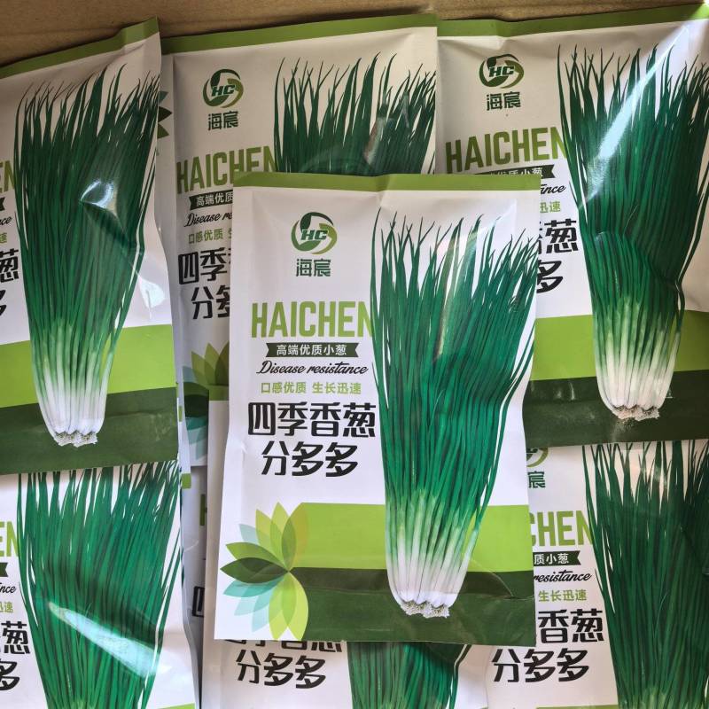 四季香葱分多多