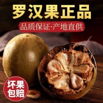 正宗广西桂林深山***野生罗汉果干果批发搭配泡茶胖大海花