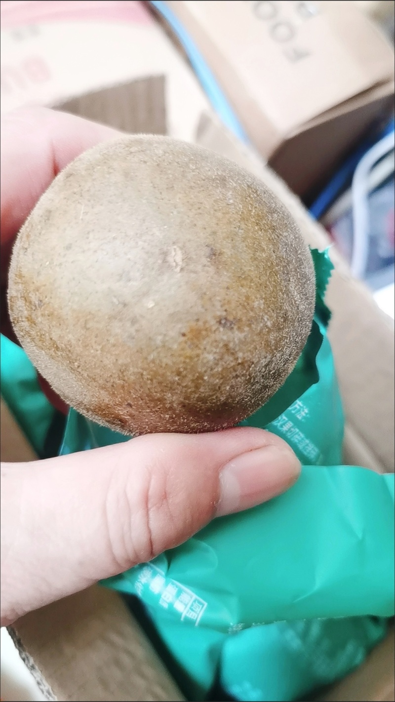 正宗广西桂林深山***野生罗汉果干果批发搭配泡茶胖大海花