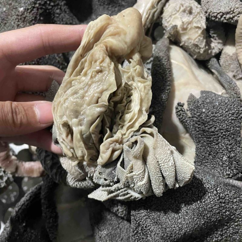 五香全熟羊毛肚，全熟不掉刺，餐饮**