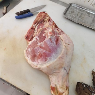 带骨前后腿