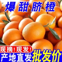 【一件代发/包邮】江西新鲜橙子赣南脐橙产地直发承接电商团购