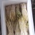 鱼腥草嫩芽嫩尖嫩苗鱼腥草芽苗菜