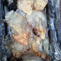 渤海湾海蜇头，口感清脆，有嚼劲