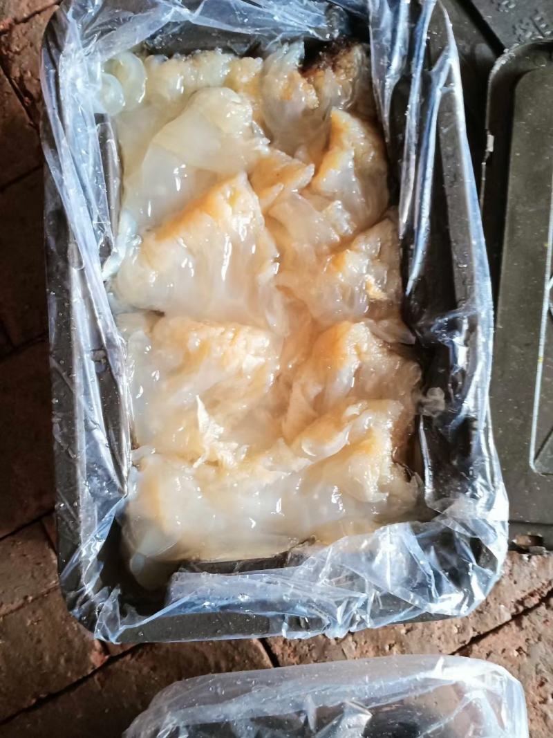 渤海湾海蜇头，口感清脆，有嚼劲