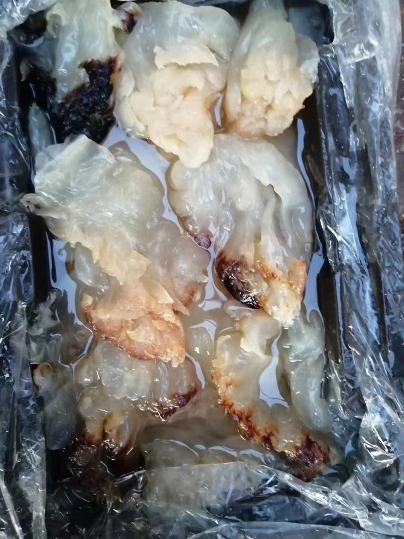 渤海湾海蜇头，口感清脆，有嚼劲