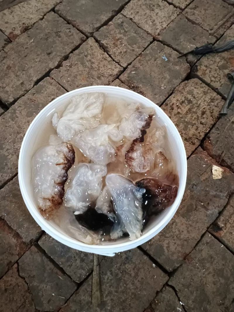 渤海湾海蜇头，口感清脆，有嚼劲