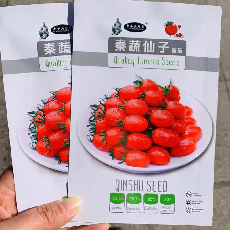 秦蔬仙子水果番茄种子大红色樱桃圣女果台湾引进小番茄种子