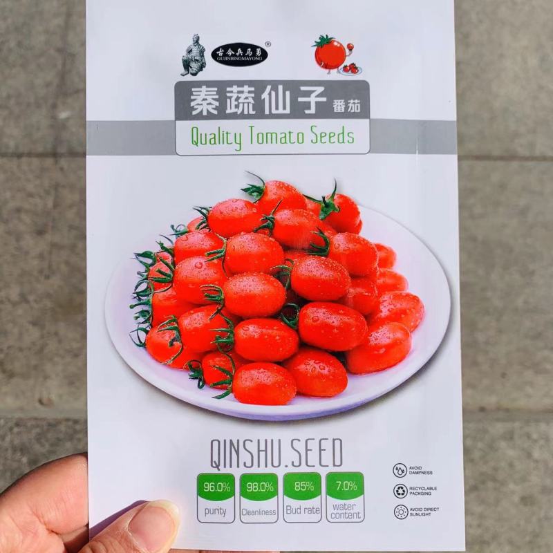 秦蔬仙子水果番茄种子大红色樱桃圣女果台湾引进小番茄种子