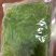 裙带菜，裙带菜丝，海菜
