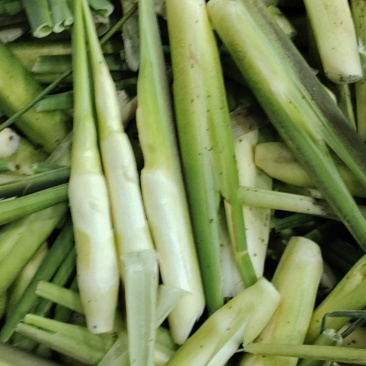 茭白，精品货电商货可持续供应